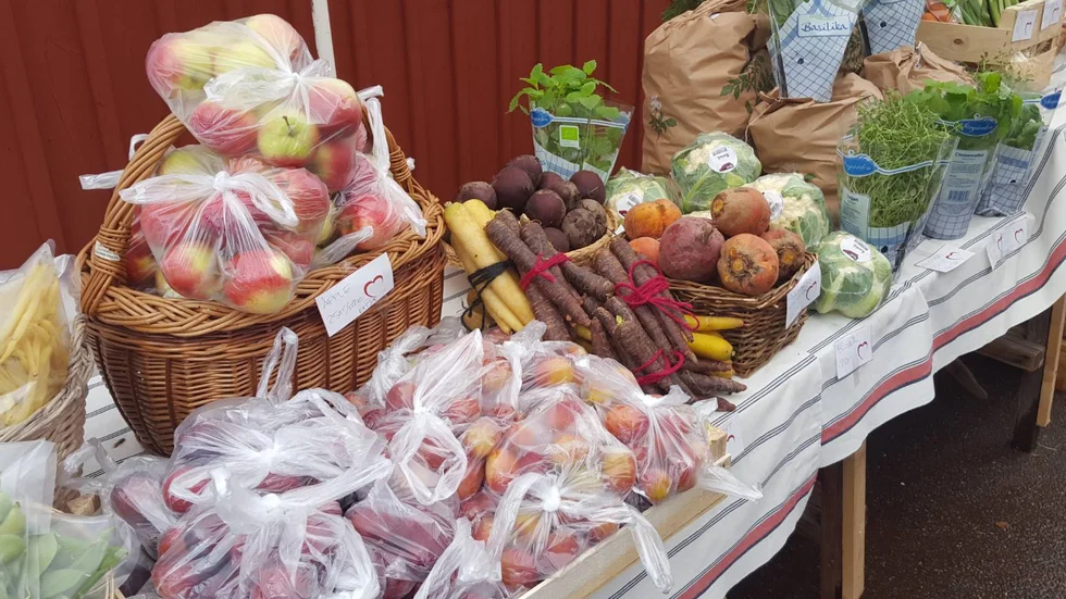 Höstmarknaden är en gammal tradition i Stenberga, som arrangeras för att det ska hända något i den lilla byn.