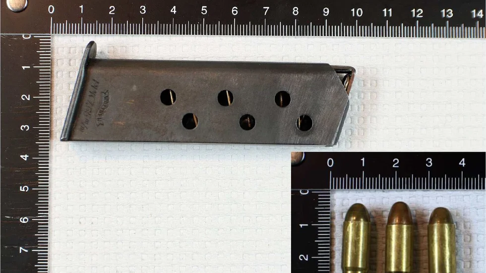 Den 31-årige mannen hade med sig dessa tre patroner till en förskola i Linköping. (Bilden är hämtad ur förundersökningen.)