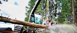 Visst finns det jobb med framtidsutsikter