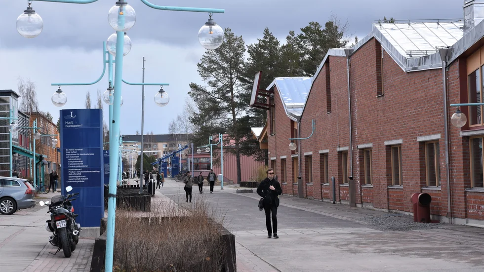 Den största satsningen någonsin från Familjen Kamprads stiftelse på 100 miljoner kronor ska hjälpa till att utveckla företagandet i Norrland.