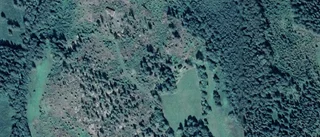 Nya ägare till fastigheten på Anniön 120 i Östhammar