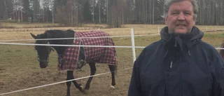 Stark långspurt av Sambucus P.R
