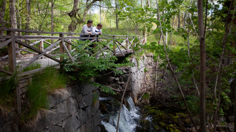 Kvarnbron över var Borkhultsån var helt förfallen, men systrarna Elisabet och Matilda Magnusson lyckades via crowdfunding och ett bidrag från Region Östergötland återställa den.