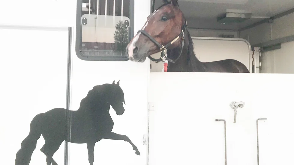 Lexington Tooma göra comeback på Skellefteåtravet på tisdagskvällen. Denna gång i Jens Erikssons regi.
