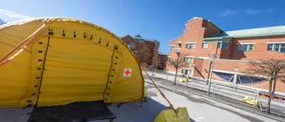 Inga nya fall av covid-19 under lördagen