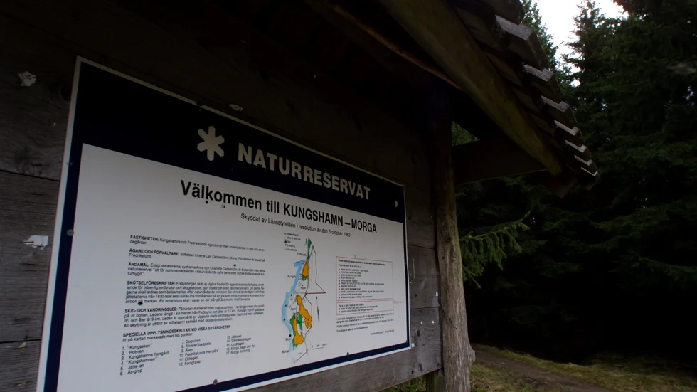 Gamla träd och rödlistade arter finns i det  avverkningsplanerat området i Kungshamn-Morga, skriver Marianne Kahn.