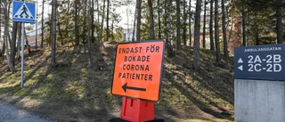 Starkare samhälle hade behövts i krisen