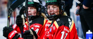 Förlängde med Luleå: "Var ganska självklart"