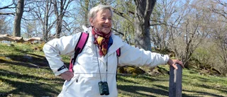 Besöksboom i Nyköpings naturreservat