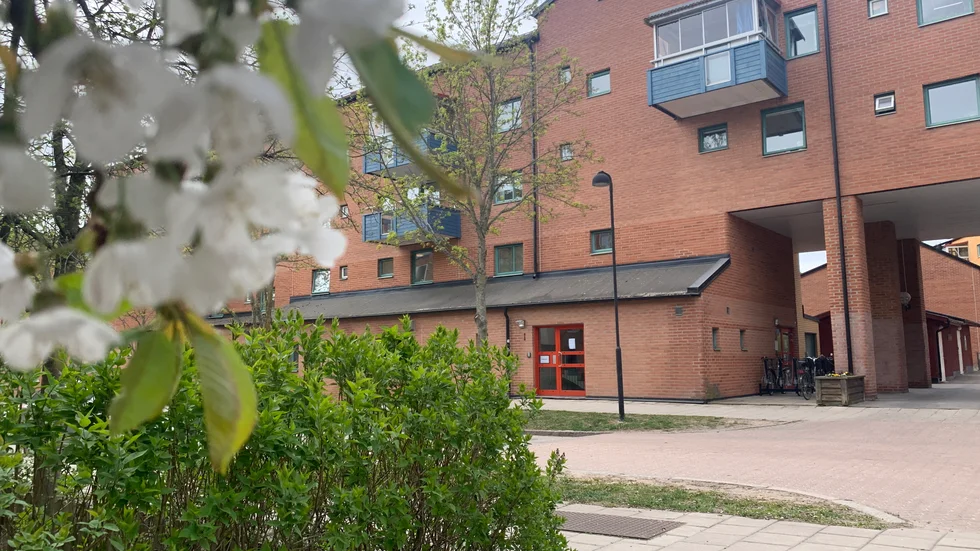 På grund av de senaste händelserna på Furirgatan 1 bedömer Ivo att det finns risk för barnens liv och hälsa.
" Vi hoppas även få mer kunskap från den oberoende utredning som Ivo gör nu", säger Anita Lhådö, utförardirektör på Leanlink.