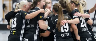 Starkt försäsongsbesked från Libk