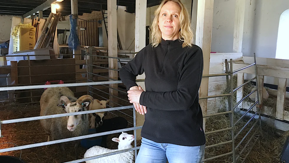 Lotta Hallenfur är djurskyddshandläggare vid Länsstyrelsen på Gotland. Hon hoppas att uppgifter om ägaren ännu kan komma in.