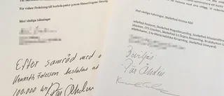 Bidrag på flera hundratusen utan beslut – expert: ”De sidsteppar den demokratiska ordningen”