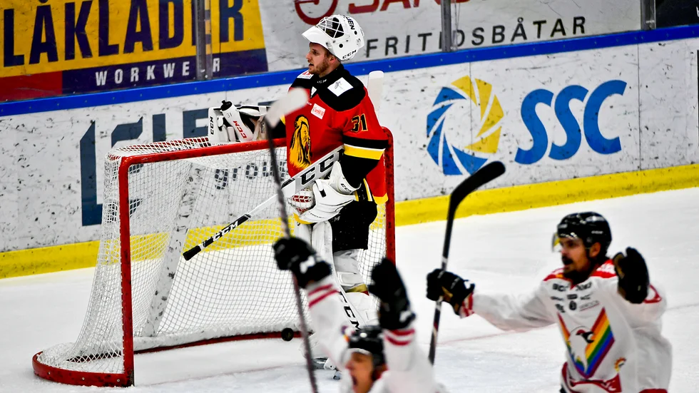 Lejons målvakt David Lindgren har precis släppt in ett mål i söndagens hemmamatch i norra hockeyettan.
