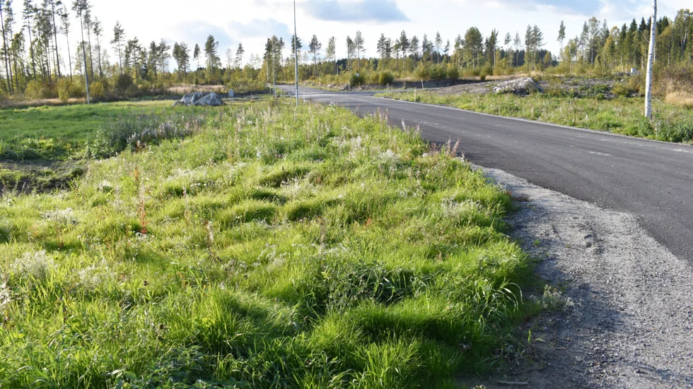 Gatan byggdes förra vintern och väntar nu på de nya invånarna.