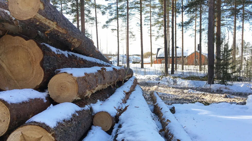 Lugnet är över för den som bott nära skogen i det befintliga bostadsområdet. 