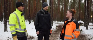 De hittar framtiden i skogen 