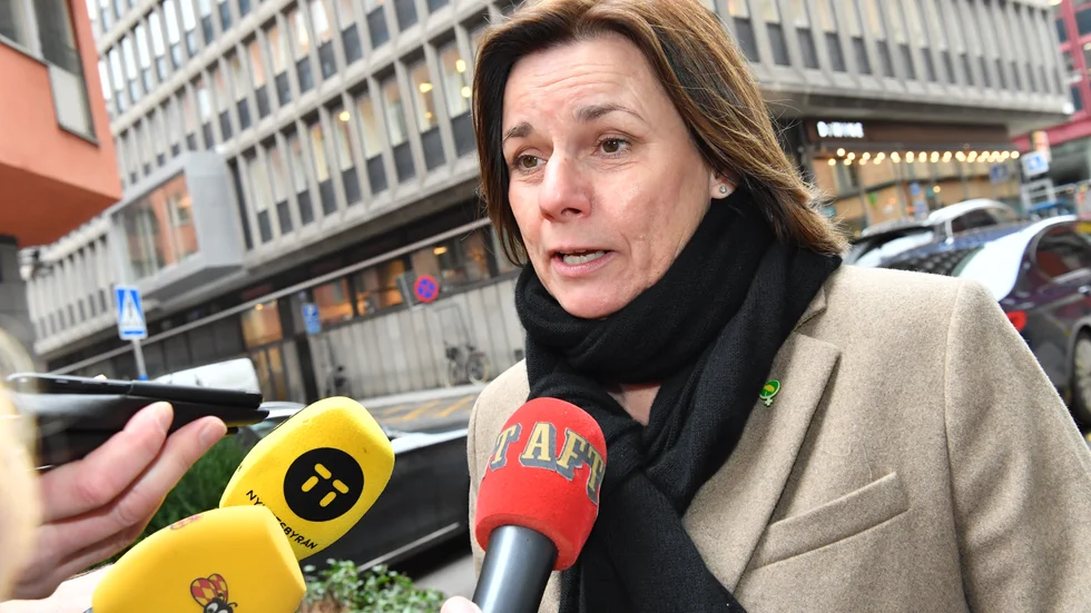 Isabella Lövin lämnar regerandet och partipolitiken. Kanske vill hon helt enkelt ägna sig åt sakfrågorna klimat och miljö igen; utan att behöva bråka och stöka med en massa identitetspolitik av olika slag? 