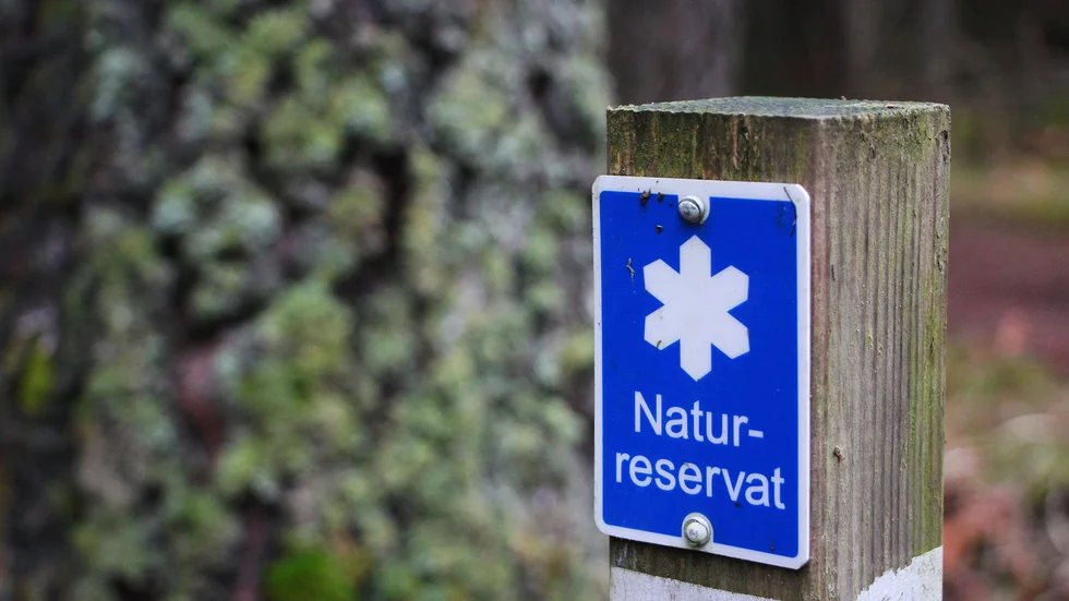 Organisationen Jaktkritikerna överklagar Länsstyrelsens beslut att bilda naturreservatet Stora Vede.