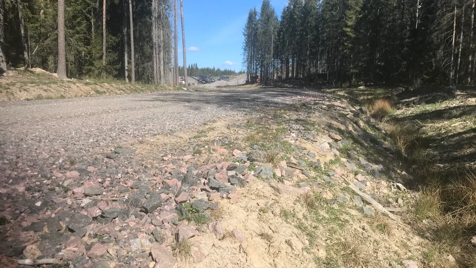 Svenska tillsynsmyndigheter kan vara resurssvaga, de förorenade massorna vid Bälgviken vittnar om det. 