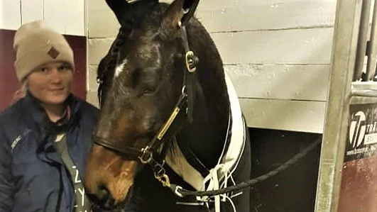 Handelsstallet i Norr HB, Piteås Hector Sisu spurtade in som tvåa bakom Hell bent For Am i V86-6 på Solvalla, onsdag kväll