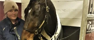 150 000 kronor i 3-årsloppet för Hector Sisu