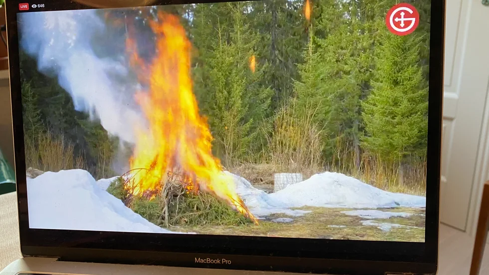 Luleå kommun livesände majbrasan på Hägnan under valborgsmässoafton. Där eld blandades med folkmusik och fårklippning. 