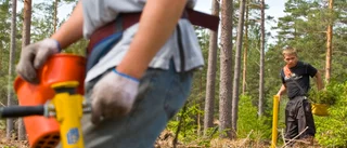 Gröna jobb kan lindra krisen  