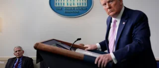 Trump: Två miljoner döda om vi gör som Sverige