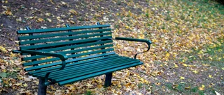 Kommunen: Här hittar du parkbänkar