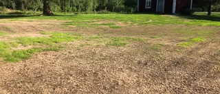 Blöt höst och is bakom tjälbrända gräsmattor