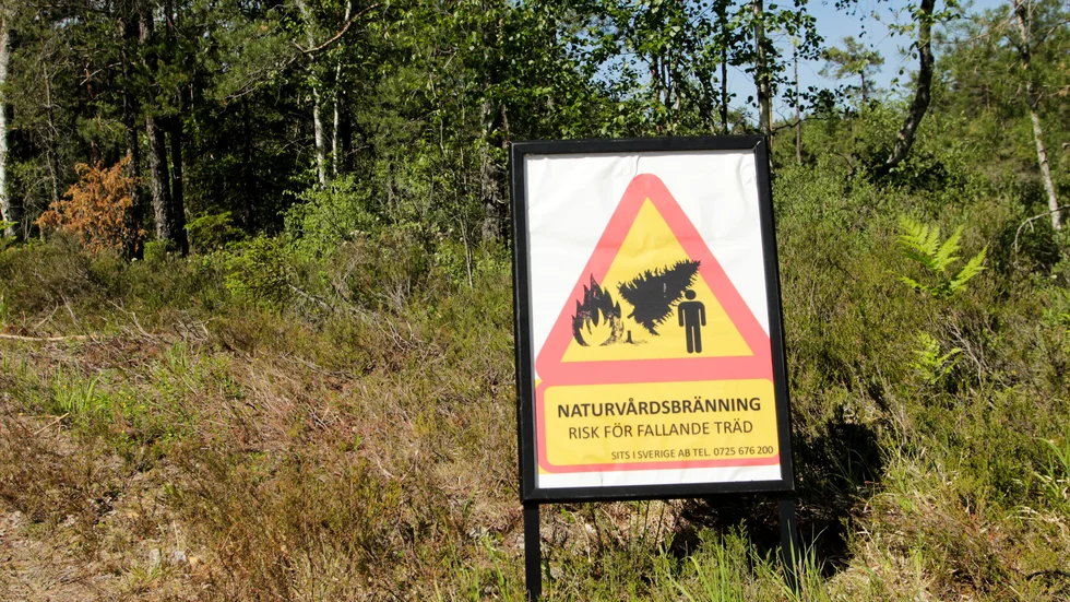 Sveriges skogar och dess arter är formade och beroende av brand, men idag brinner det i mindre omfattning än det gjorde förr. Därmed krävs det aktiva insatser för att bevara och gynna de arter som mår bättre av att det brinner ibland. 
