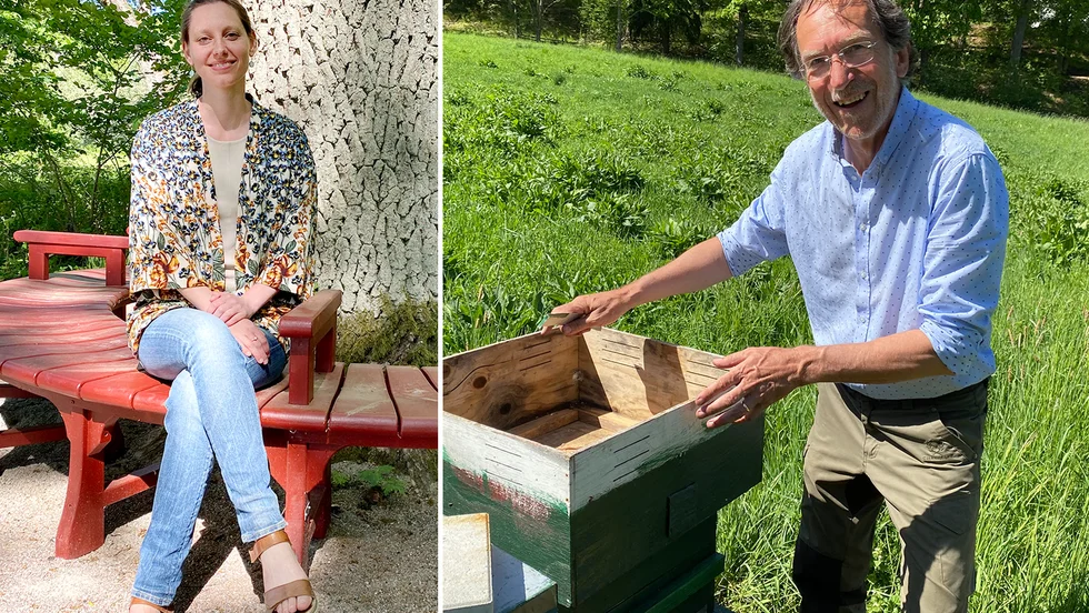 Nyligen var den här platsen igenväxt. Nu finns  gångstigar och en träsoffa har byggts runt eken. På bilden Sara Rydeman. Biodlaren Leif Nyman har ställt upp tio bikupor i Hospitalsträdgården.
