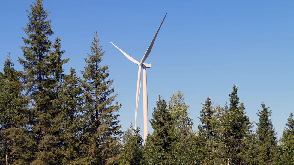 Trots den negativa miljöpåverkan bedömer Naturskyddsföreningen att Sverige kan bygga ut stora mängder vindkraft på ett hållbart sätt. (Arkivbild)