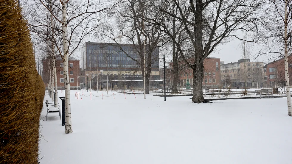 Stadsparken är en grönyta som fortfarande finns kvar i centrala Skellefteå. Insändarskribenten oroar sig dock för att de blir färre och färre.