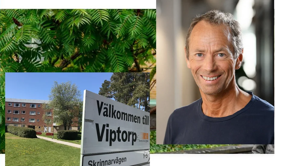 Rolf Waltersson ogillar tanken med Heimstaden Bostad AB och Ivar Tollefsen som ägare till hyreslägenheter i Eskilstuna.