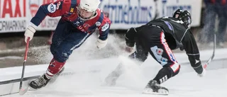 KVBS vill göra om både allsvenskan och division 1
