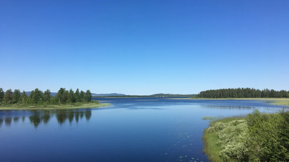 Fint. Högsommarvackert i juni  i Vistträsk.