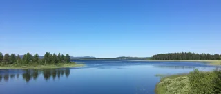 Läsarbilden                   