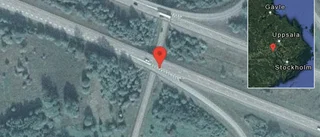 Rådjur på vägen på E18