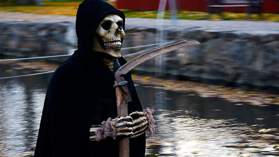 Det blir mycket Halloween under veckan. Faktum är att Trosa kommun valt att kalla hela veckan för Halloweek.