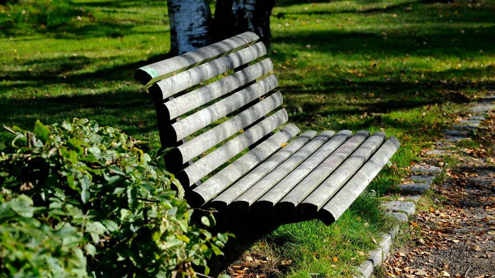 Om förslaget går igenom blir det en park med ett promenadstråk mellan Sörbyvägen och Rislidenvägen.