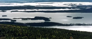 Unika fjällflygningar kan bli ett minne blott: ”Reglerna är inte framtagna från ett svenskt perspektiv”