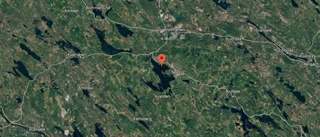 Larm om djurräddning i Norsjön