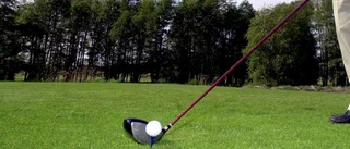 Medlemsspel har räddat golfklubbarna