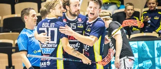 Så vill sportchefen bygga det nya Visby IBK