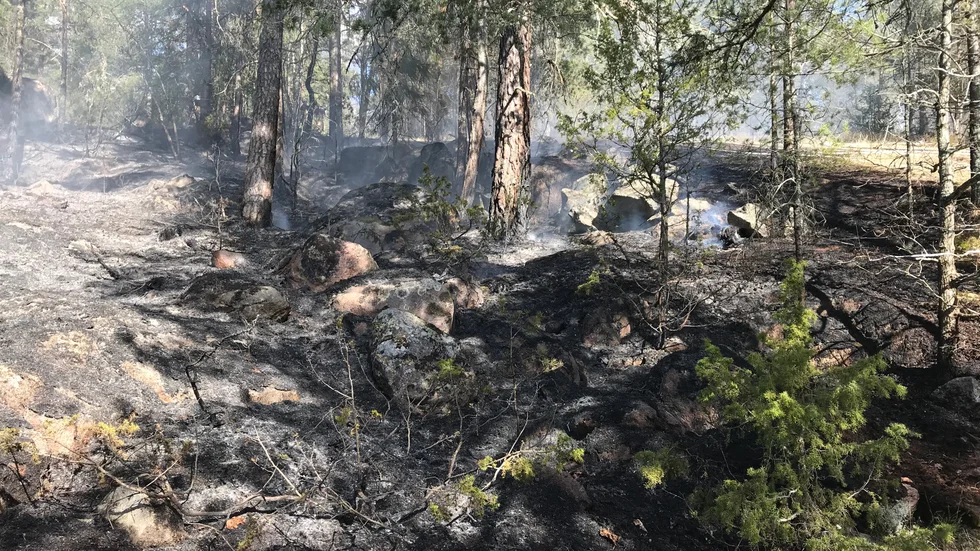 Gräsbrand i Målilla.