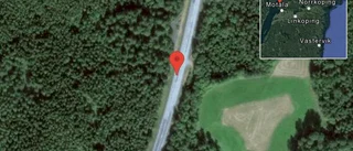 Fallna träd skapar problem i trafiken