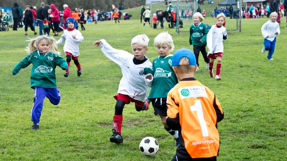 Piteå Summer Games riskerar att gå i graven. 