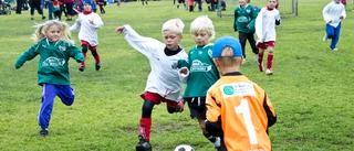 Nedläggning hotar Piteå Summer Games